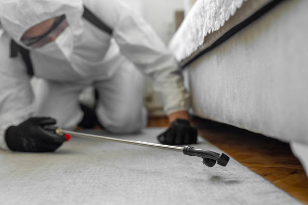 Professional Wasp Control technician working in Avenue B and C, AZ