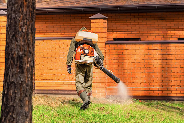 Trusted Bed Bug Control service in Avenue B and C, AZ - Nex Pest Control